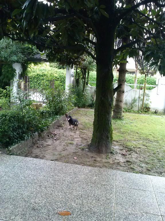Casa Irene Panzió Torri di Quartesolo Kültér fotó