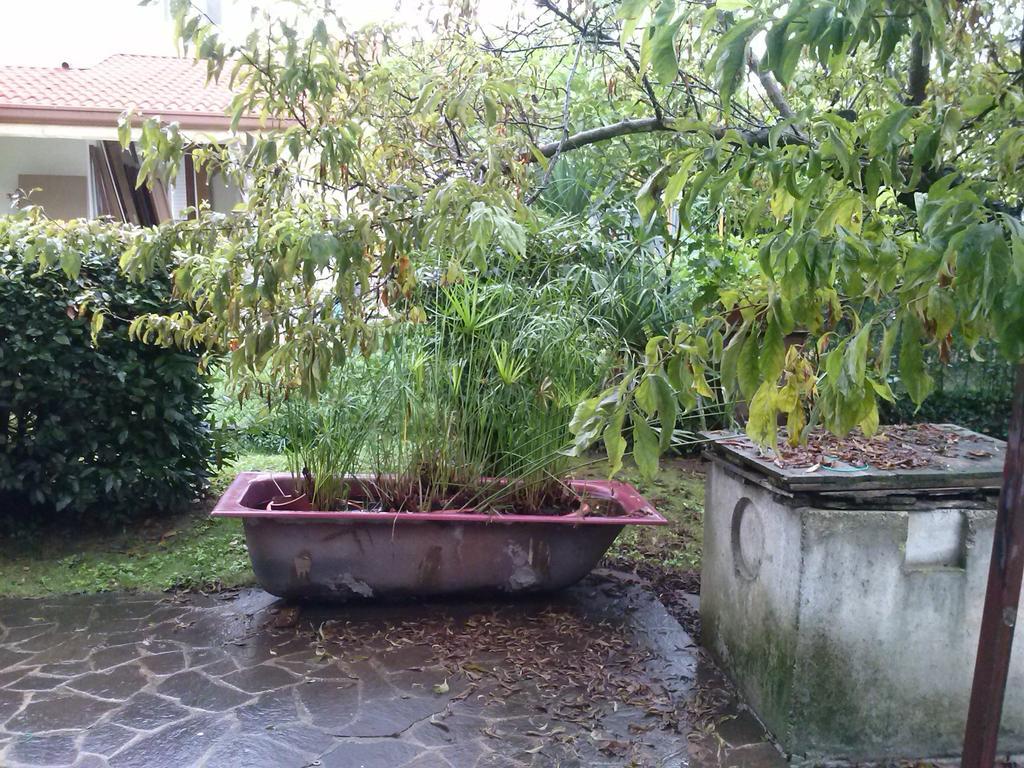 Casa Irene Panzió Torri di Quartesolo Kültér fotó