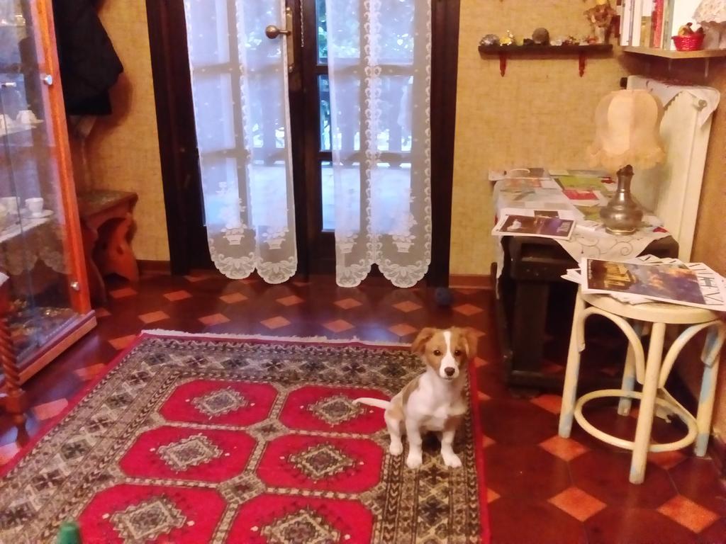 Casa Irene Panzió Torri di Quartesolo Kültér fotó